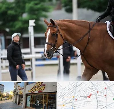 مربی سوارکاری در عطاران قم