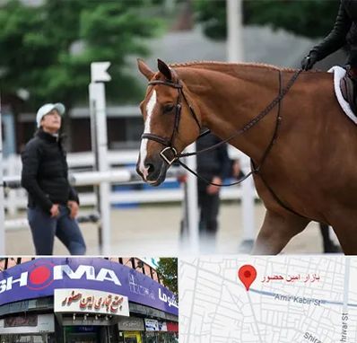 مربی سوارکاری در امین حضور