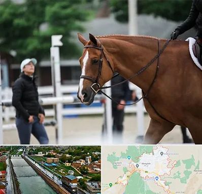 مربی سوارکاری در مراغه