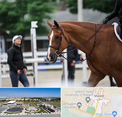 مربی سوارکاری در ملارد