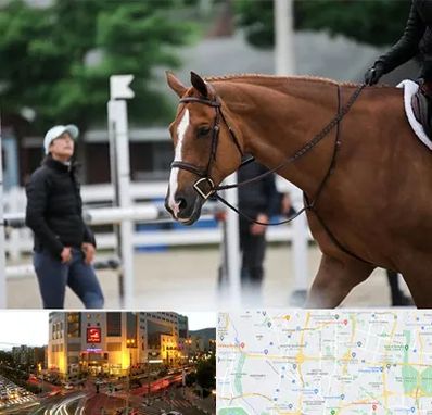 مربی سوارکاری در جنت آباد تهران 