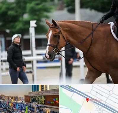 مربی سوارکاری در لاله پارک تبریز