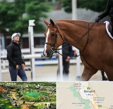 مربی سوارکاری در بروجرد