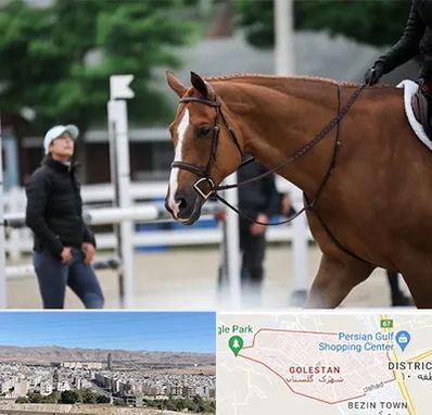 مربی سوارکاری در شهرک گلستان شیراز 