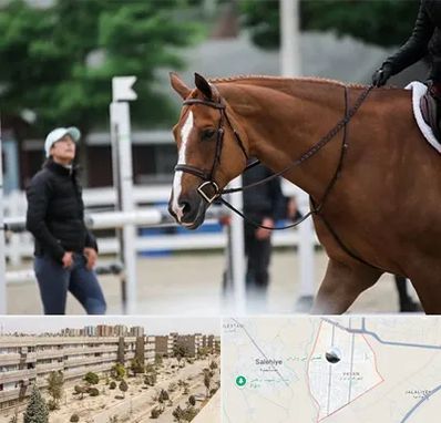 مربی سوارکاری در واوان اسلامشهر