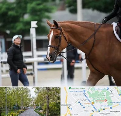 مربی سوارکاری در قدوسی غربی شیراز 