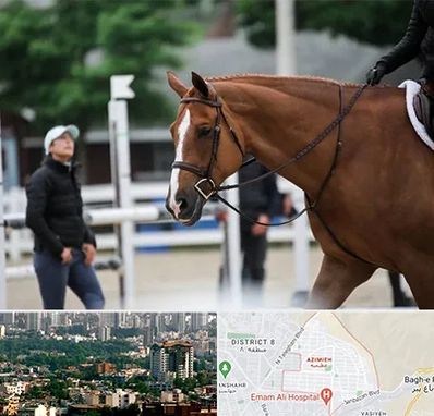 مربی سوارکاری در عظیمیه کرج 