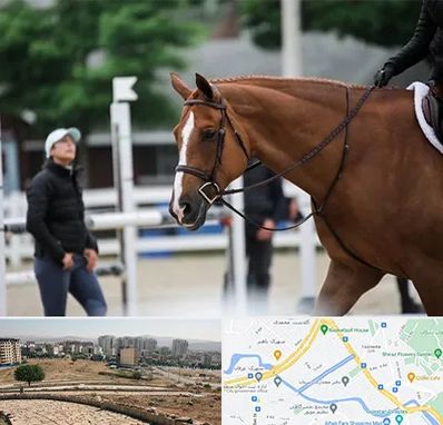 مربی سوارکاری در کوی وحدت شیراز