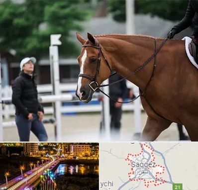 مربی سوارکاری در سقز