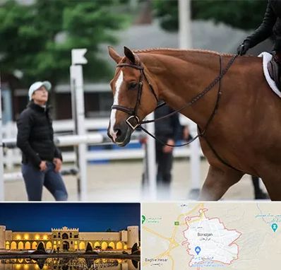 مربی سوارکاری در برازجان