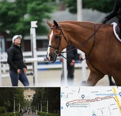 مربی سوارکاری در بلوار معلم رشت 