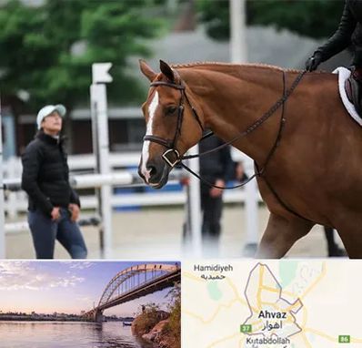 مربی سوارکاری در اهواز