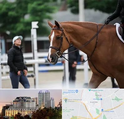 مربی سوارکاری در فرشته 