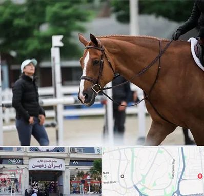 مربی سوارکاری در ایران زمین