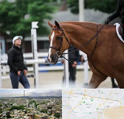 مربی سوارکاری در منطقه 8 تهران 