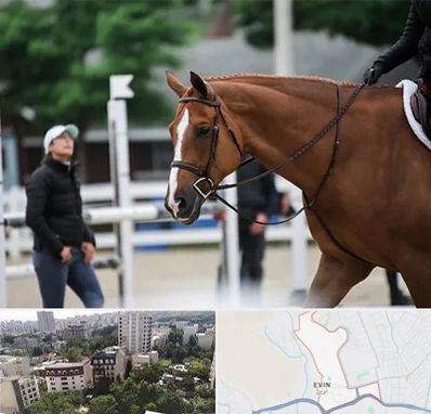 مربی سوارکاری در اوین