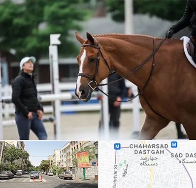 مربی سوارکاری در چهارصد دستگاه 
