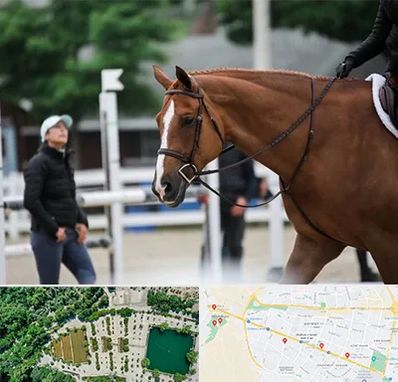 مربی سوارکاری در وکیل آباد مشهد 