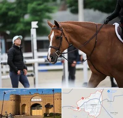 مربی سوارکاری در ایرانشهر