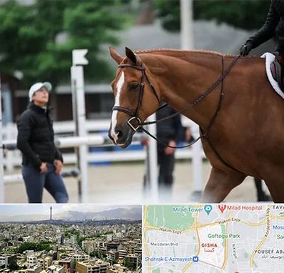 مربی سوارکاری در گیشا 