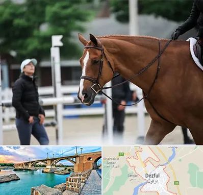 مربی سوارکاری در دزفول