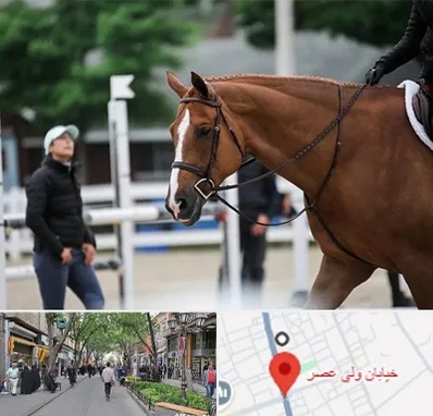 مربی سوارکاری در ولیعصر شهریار