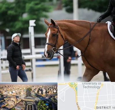 مربی سوارکاری در استاد معین 