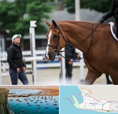 مربی سوارکاری در چابهار