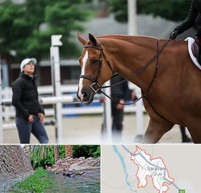 مربی سوارکاری در سراوان