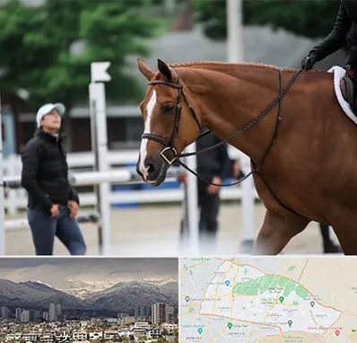 مربی سوارکاری در منطقه 4 تهران 