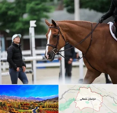 مربی سوارکاری در خراسان شمالی