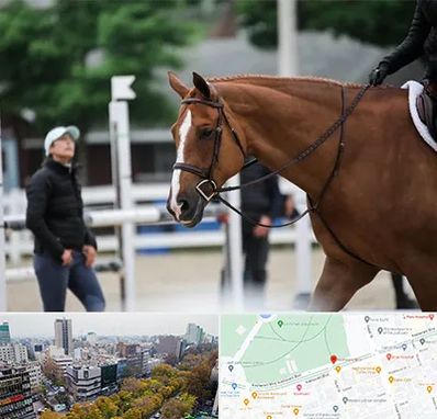 مربی سوارکاری در بلوار کشاورز 