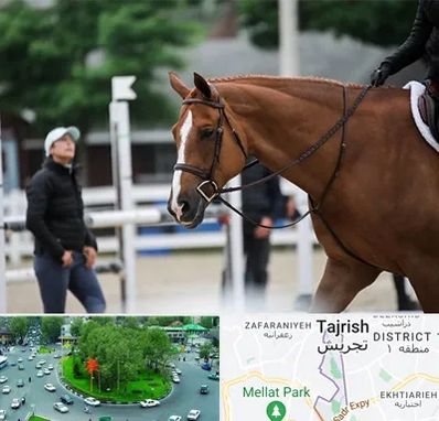 مربی سوارکاری در تجریش 