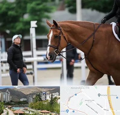 مربی سوارکاری در شهر زیبا 