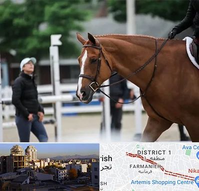 مربی سوارکاری در فرمانیه 