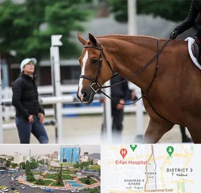 مربی سوارکاری در ونک 