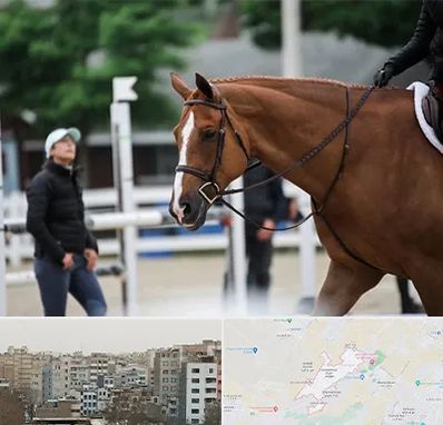 مربی سوارکاری در محمد شهر کرج 