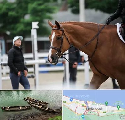 مربی سوارکاری در بندر انزلی