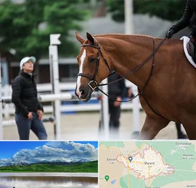 مربی سوارکاری در مرند