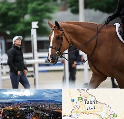 مربی سوارکاری در تبریز