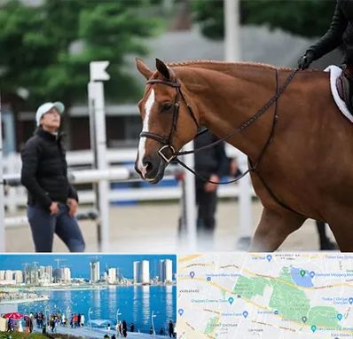 مربی سوارکاری در چیتگر 