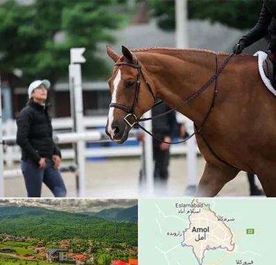 مربی سوارکاری در آمل