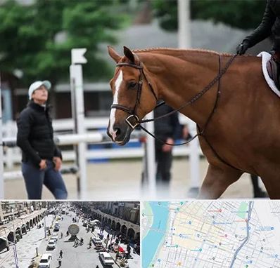 مربی سوارکاری در نادری اهواز 