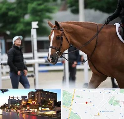 مربی سوارکاری در بلوار سجاد مشهد 