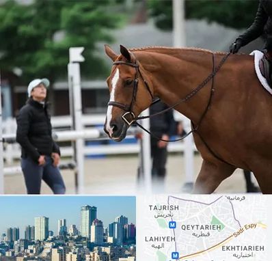 مربی سوارکاری در قیطریه 