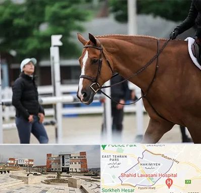 مربی سوارکاری در حکیمیه 