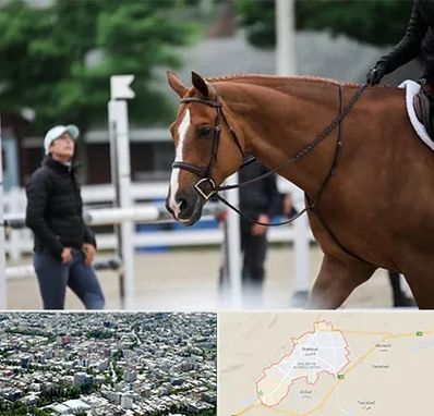 مربی سوارکاری در شاهرود