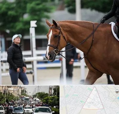 مربی سوارکاری در سیدی مشهد