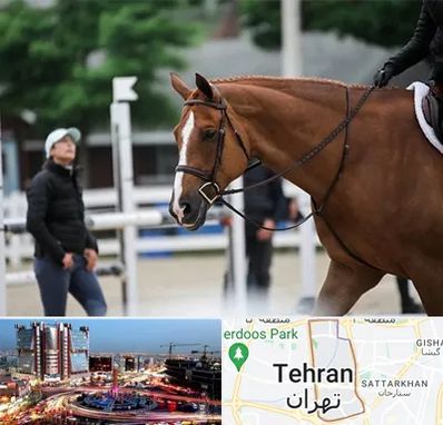 مربی سوارکاری در صادقیه 