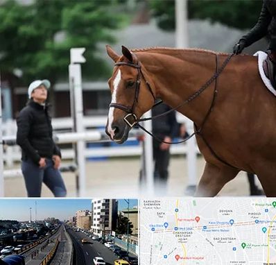 مربی سوارکاری در پیروزی 